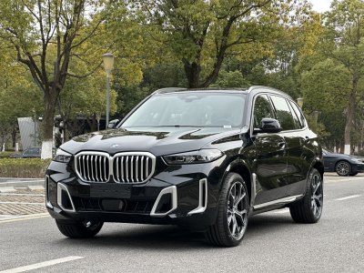 2025年1月 寶馬 寶馬X5 xDrive 30Li 尊享型M運(yùn)動套裝圖片