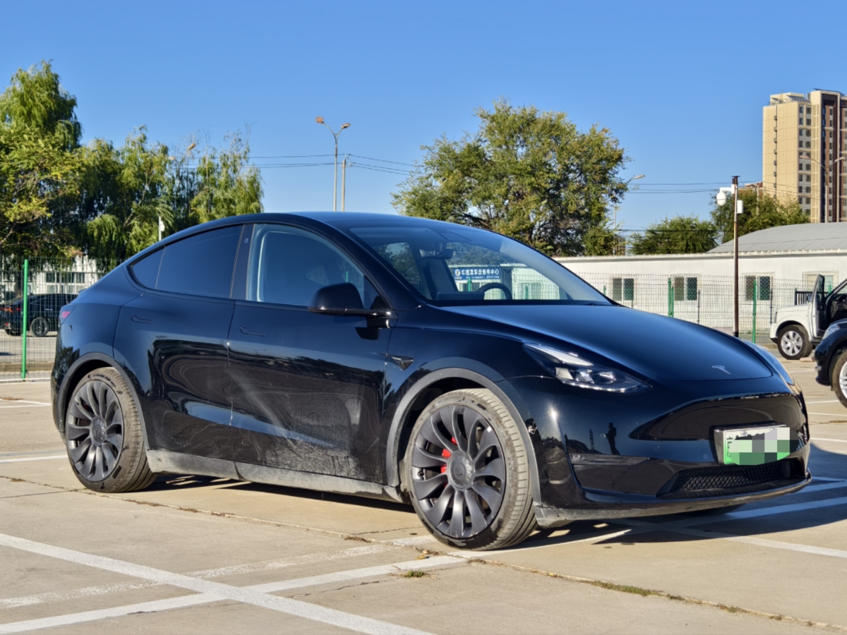 特斯拉 Model Y  2021款 改款 Performance高性能全輪驅(qū)動版圖片