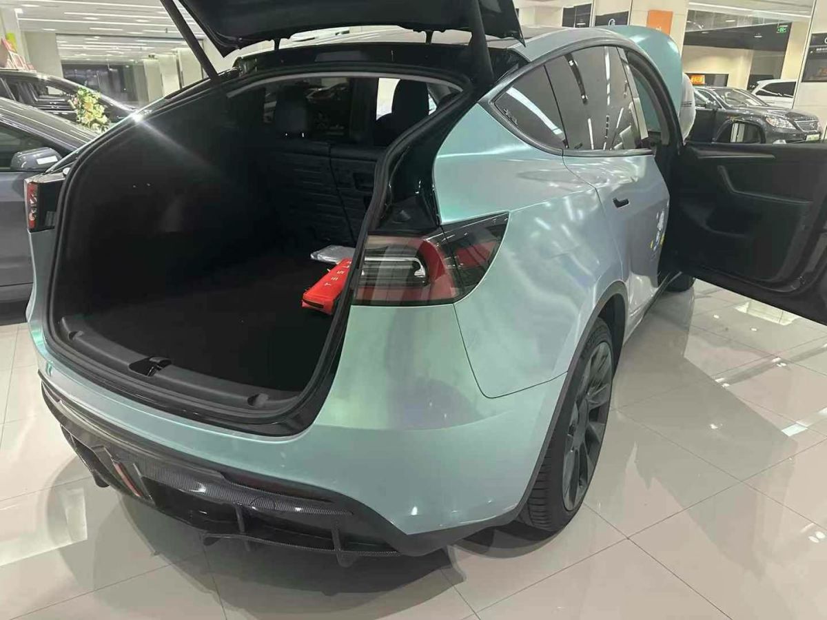 特斯拉 Model Y  2022款 Performance高性能全輪驅(qū)動(dòng)版圖片