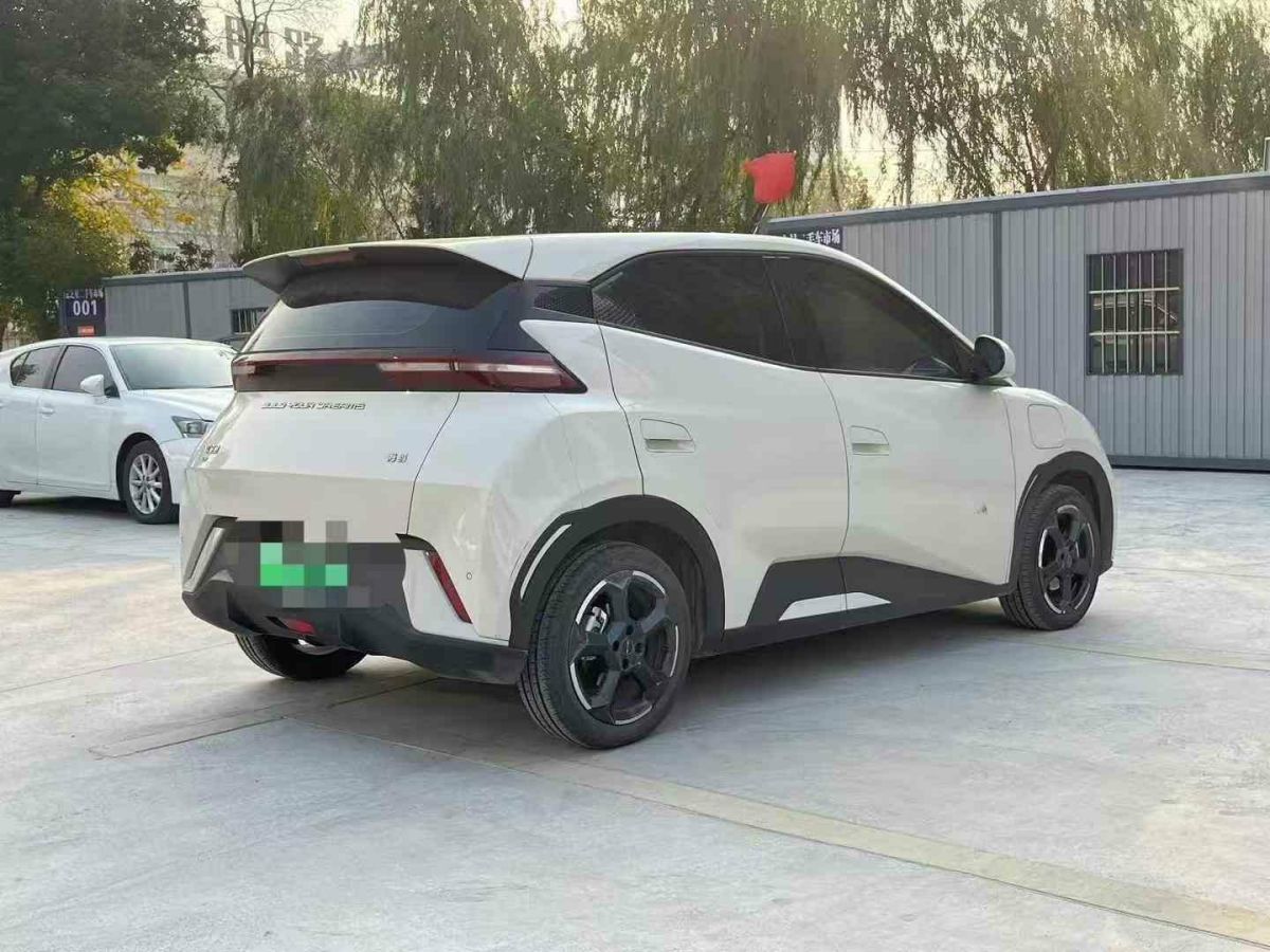 比亞迪 宋L DM-i  2024款 112km 超越型圖片