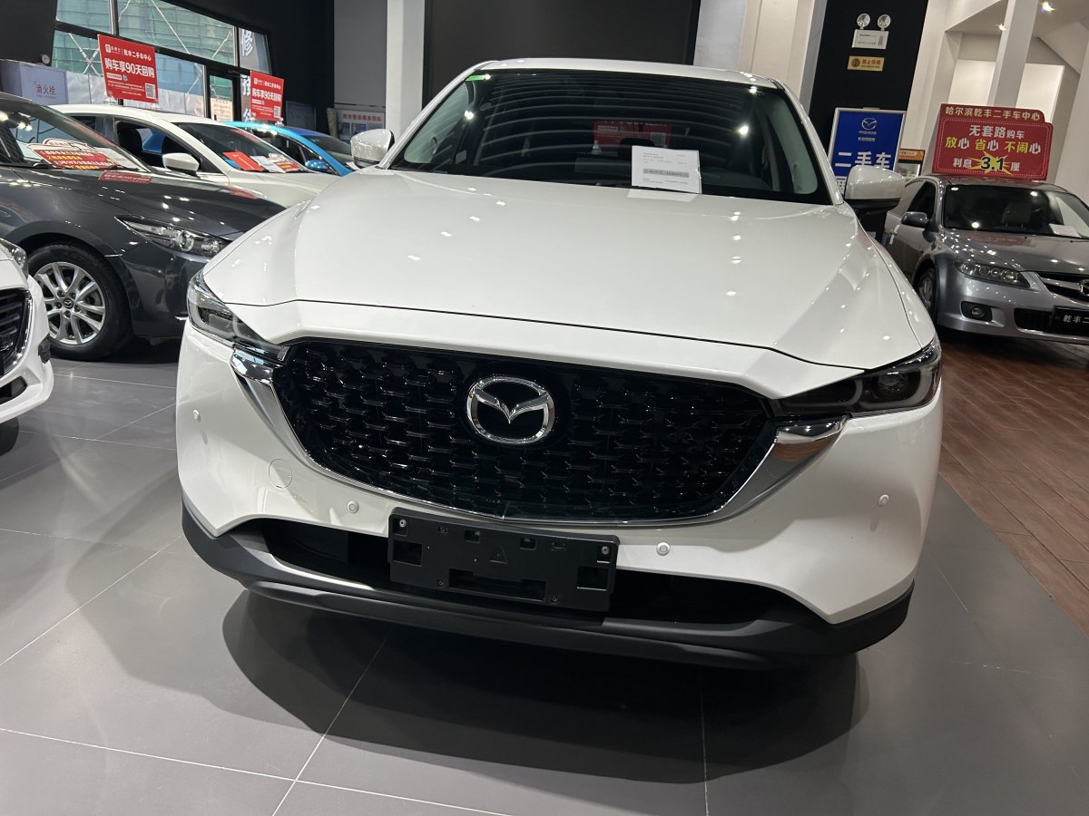 馬自達(dá) CX-5  2022款 2.0L 自動兩驅(qū)智尚型圖片