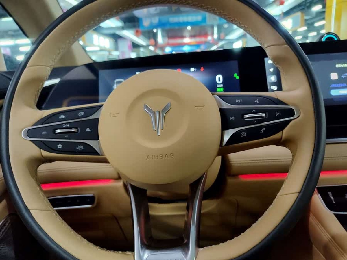 嵐圖 夢想家  2024款 PHEV 超長續(xù)航旗艦版圖片
