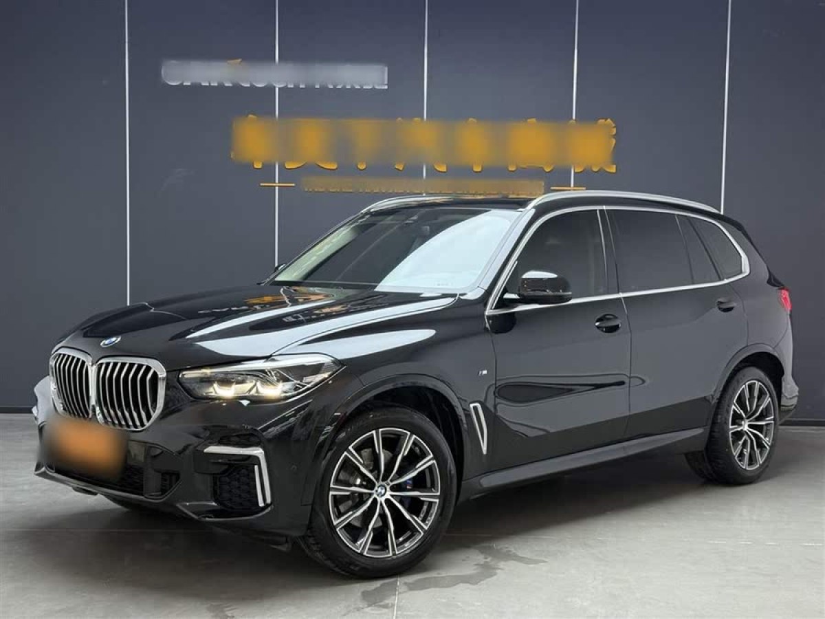 寶馬 寶馬X5  2022款 改款 xDrive 30Li M運(yùn)動(dòng)套裝圖片