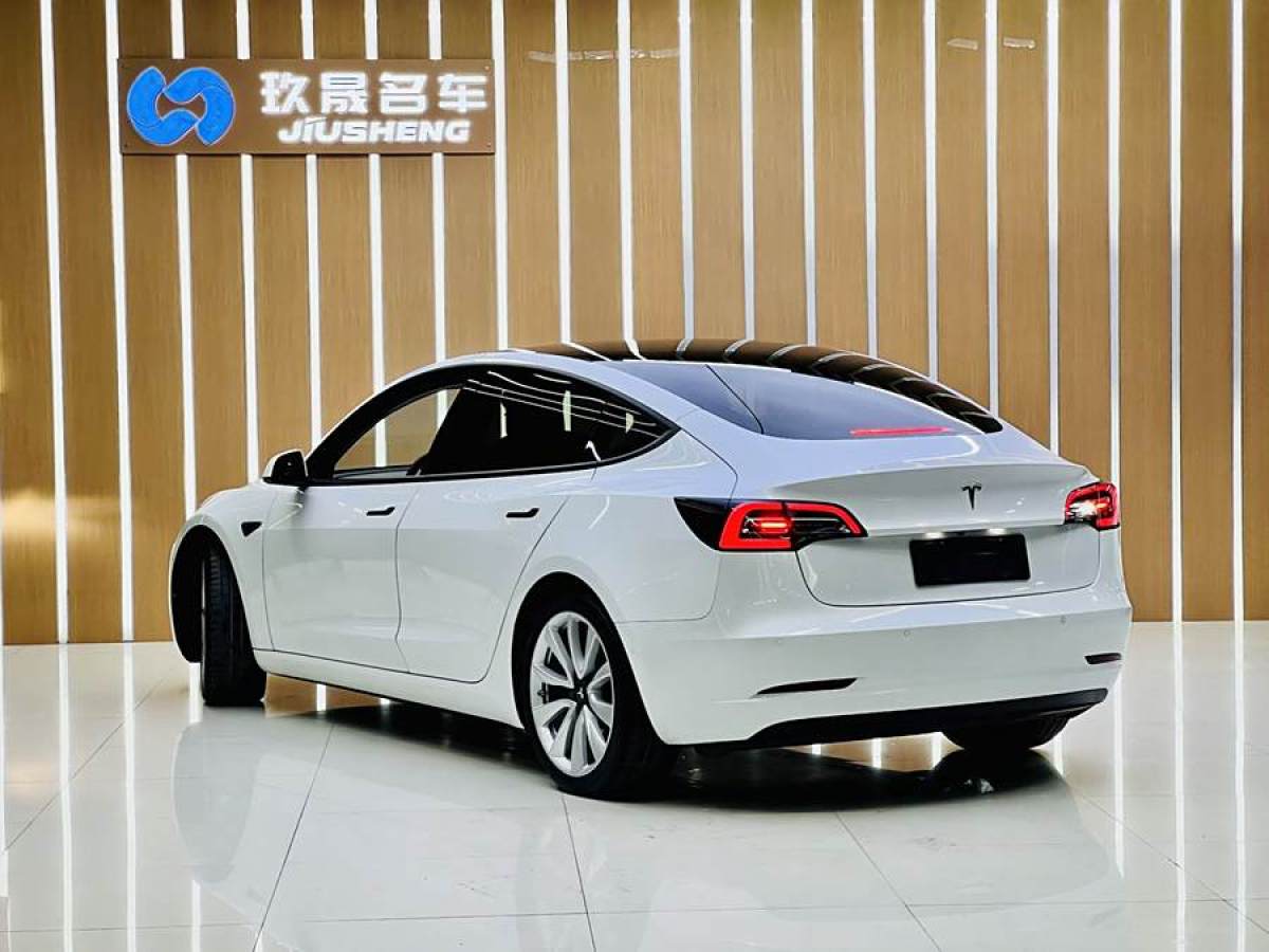 2020年7月特斯拉 Model 3  2020款 改款 標(biāo)準(zhǔn)續(xù)航后驅(qū)升級版