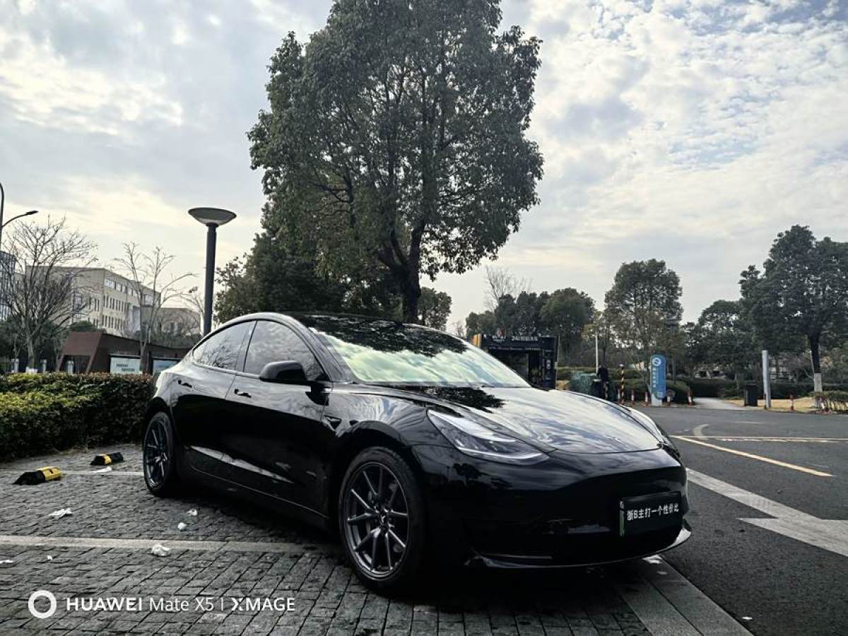 特斯拉 Model 3  2019款 標(biāo)準(zhǔn)續(xù)航后驅(qū)升級版圖片