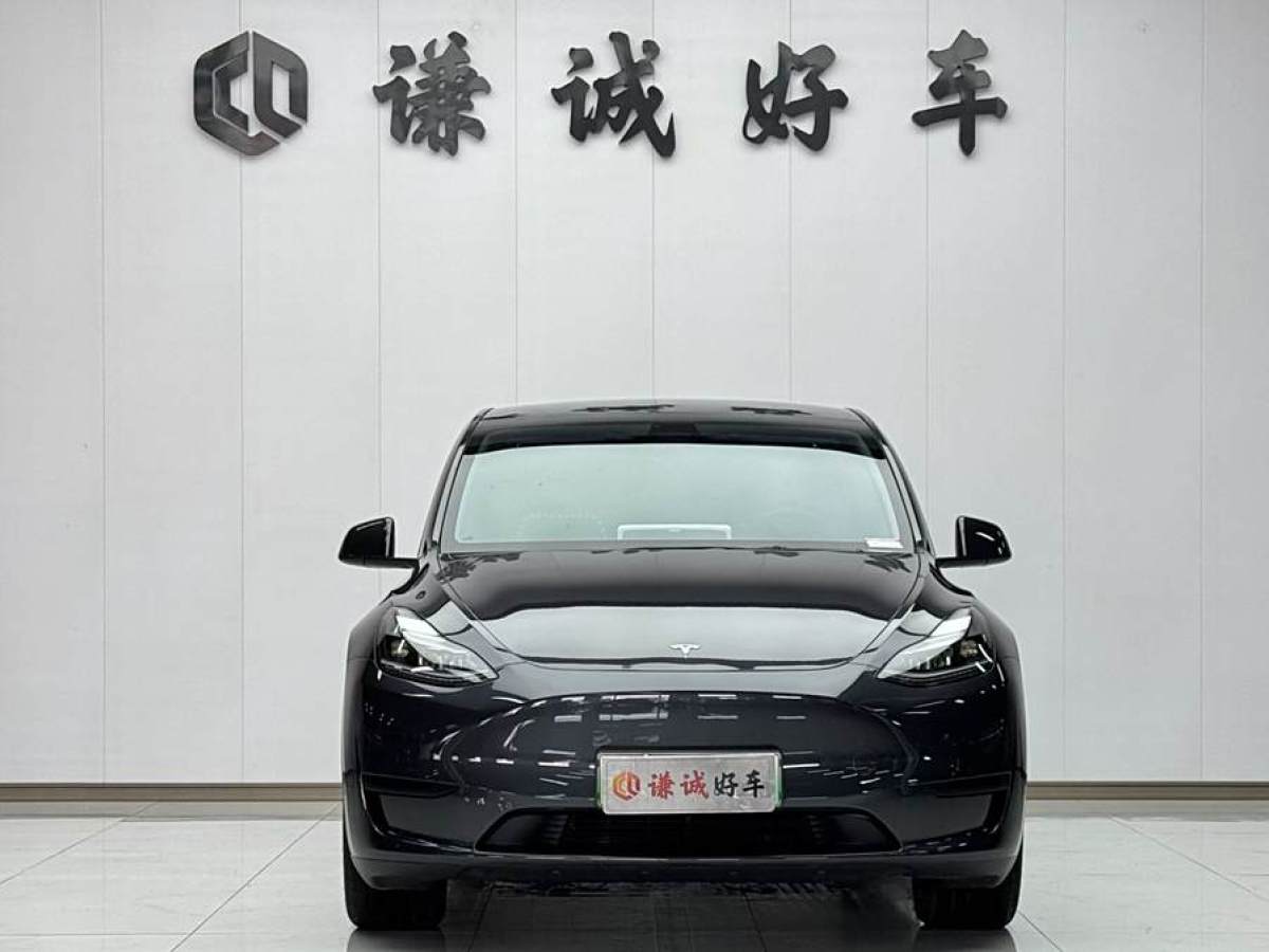 特斯拉 Model Y  2020款 改款 長續(xù)航后輪驅(qū)動版圖片