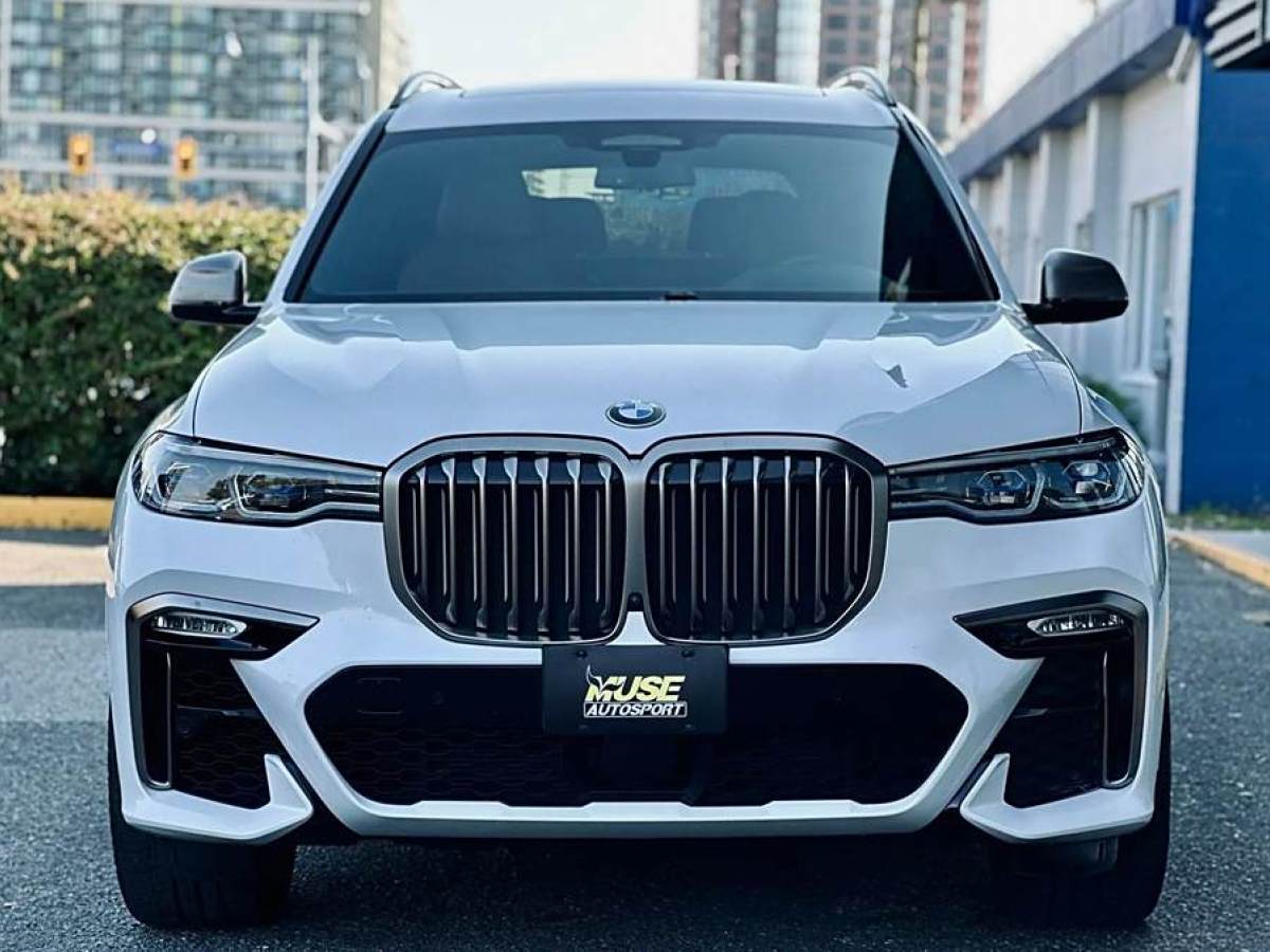 寶馬 寶馬X7  2019款  xDrive40i 領(lǐng)先型豪華套裝圖片