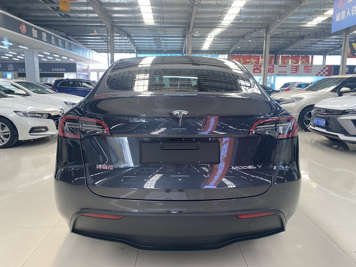 特斯拉 Model Y  2020款 改款 長續(xù)航后輪驅(qū)動版圖片