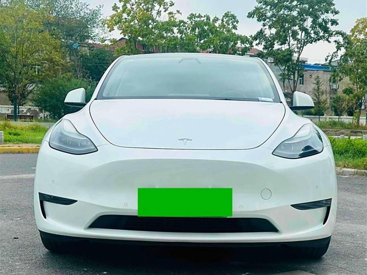 特斯拉 Model 3  2021款 改款 標(biāo)準(zhǔn)續(xù)航后驅(qū)升級(jí)版圖片