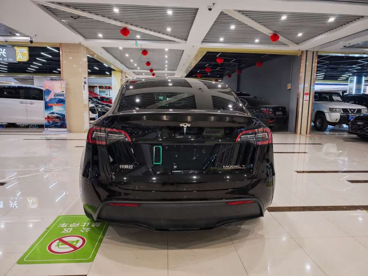 特斯拉 Model Y  2022款 Performance高性能全輪驅(qū)動(dòng)版圖片
