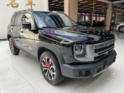 2024年2月 哈弗 哈弗大狗 1.5T DCT兩驅(qū)邊牧版圖片