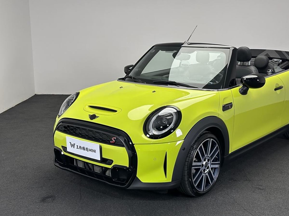 MINI MINI  2023款 改款二 2.0T COOPER S CABRIO 藝術(shù)家圖片