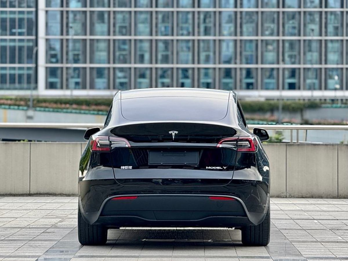 2021年6月特斯拉 Model 3  2021款 改款 長續(xù)航全輪驅(qū)動版