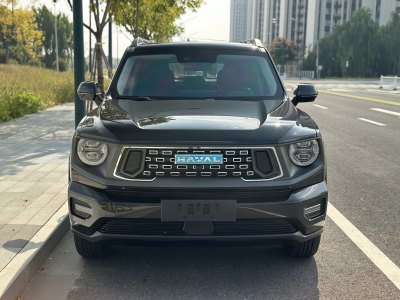 2023年8月 哈弗 哈弗二代大狗新能源 DHT-PHEV 105km 潮電版Plus圖片