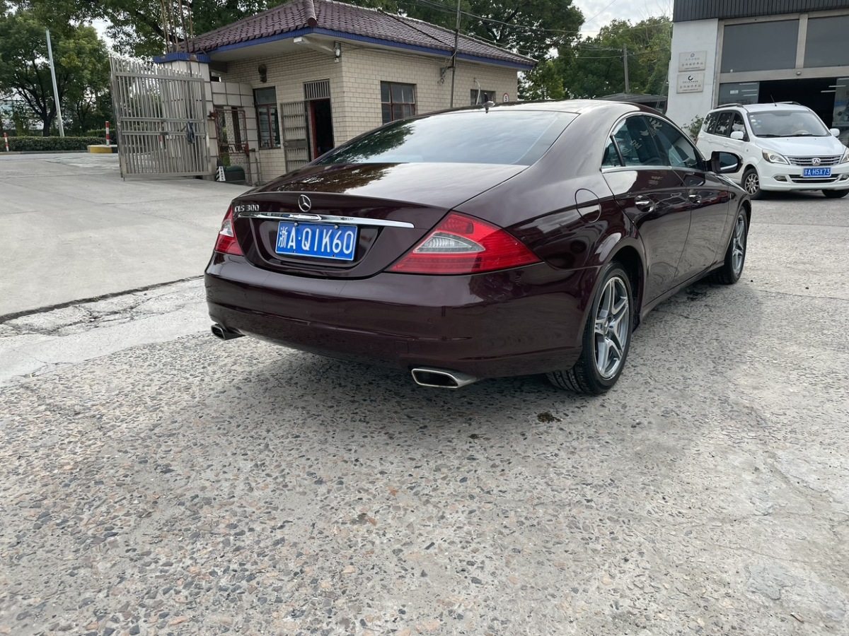 奔馳 奔馳CLS級(jí)  2009款 CLS 300圖片