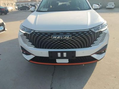 2023年1月 哈弗 哈弗h6新能源 dht-phev 110km 悅行版圖片