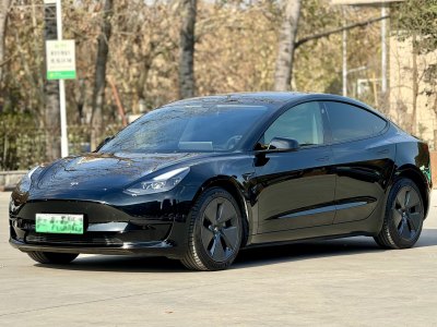 2021年6月 特斯拉 Model 3 標準續(xù)航后驅(qū)升級版圖片