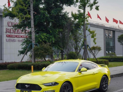 2022年6月 福特 Mustang(進(jìn)口) 2.3L EcoBoost 掠光復(fù)刻限量版圖片