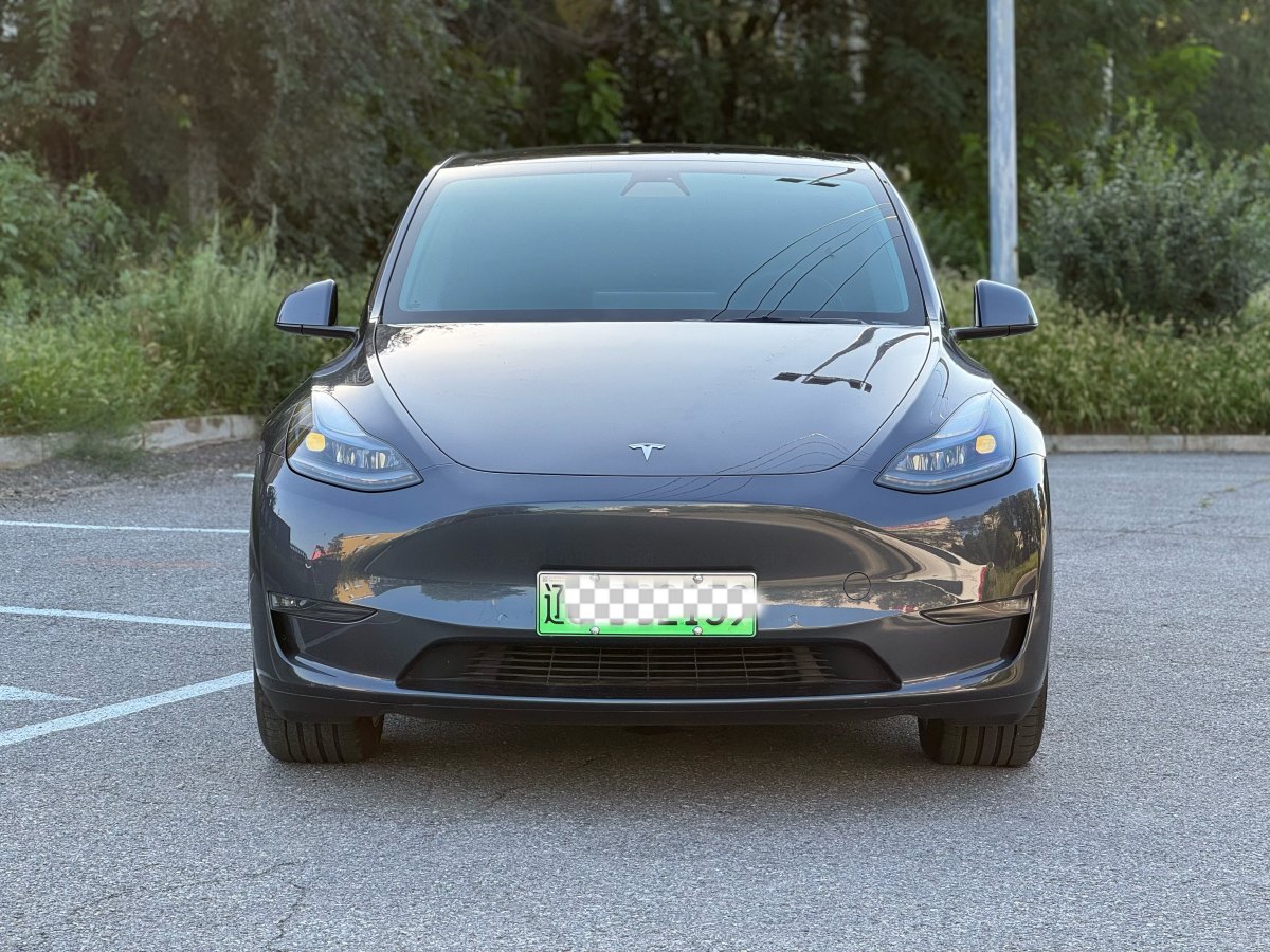 特斯拉 Model Y  2021款 改款 Performance高性能全轮驱动版图片