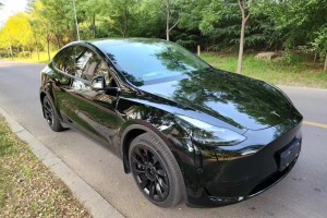 Model Y 特斯拉 长续航全轮驱动版