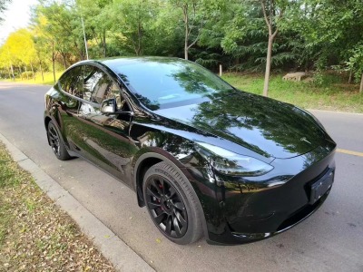 2022年6月 特斯拉 Model Y 長續(xù)航全輪驅動版圖片