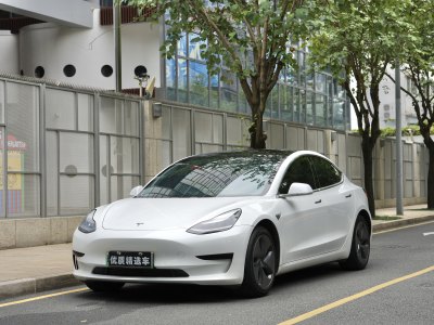 2020年12月 特斯拉 Model 3 改款 標(biāo)準(zhǔn)續(xù)航后驅(qū)升級版圖片