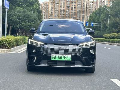 2023年1月 福特 Mustang Mach-E(进口) 长续航全驱性能版图片