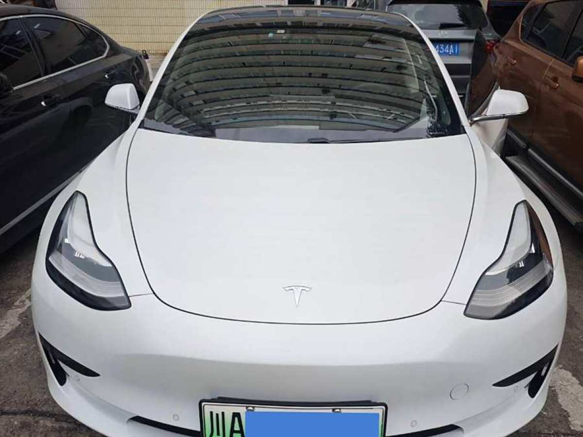 特斯拉 Model 3  2019款 標(biāo)準(zhǔn)續(xù)航后驅(qū)升級版圖片