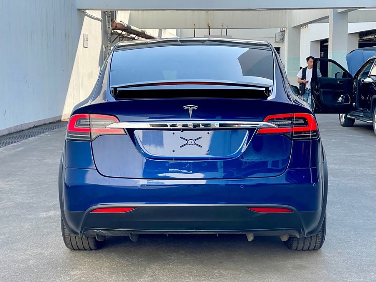 特斯拉 Model X  2020款 長(zhǎng)續(xù)航升級(jí)版圖片