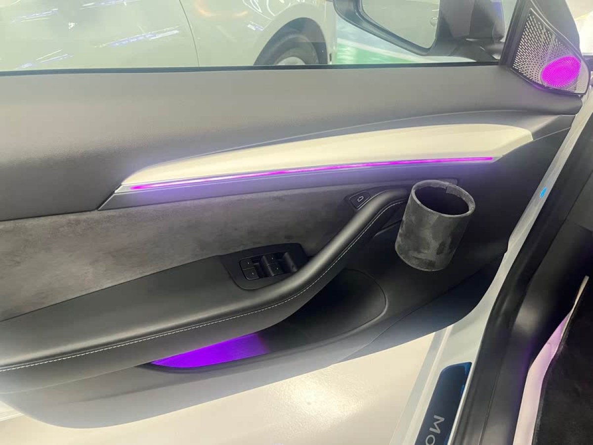 特斯拉 Model 3  2021款 標(biāo)準(zhǔn)續(xù)航后驅(qū)升級(jí)版 3D6圖片
