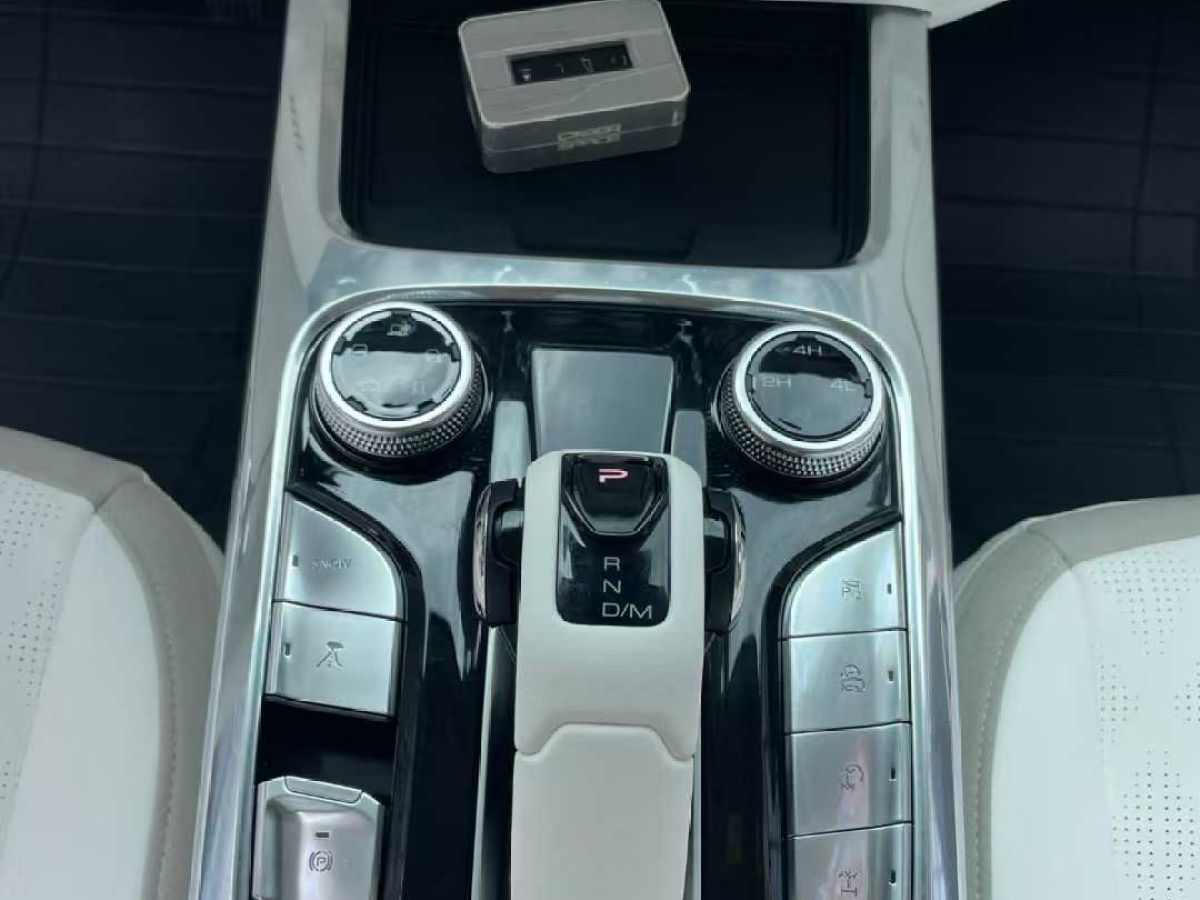 坦克 坦克300  2022款 2.0T 坦克游俠圖片