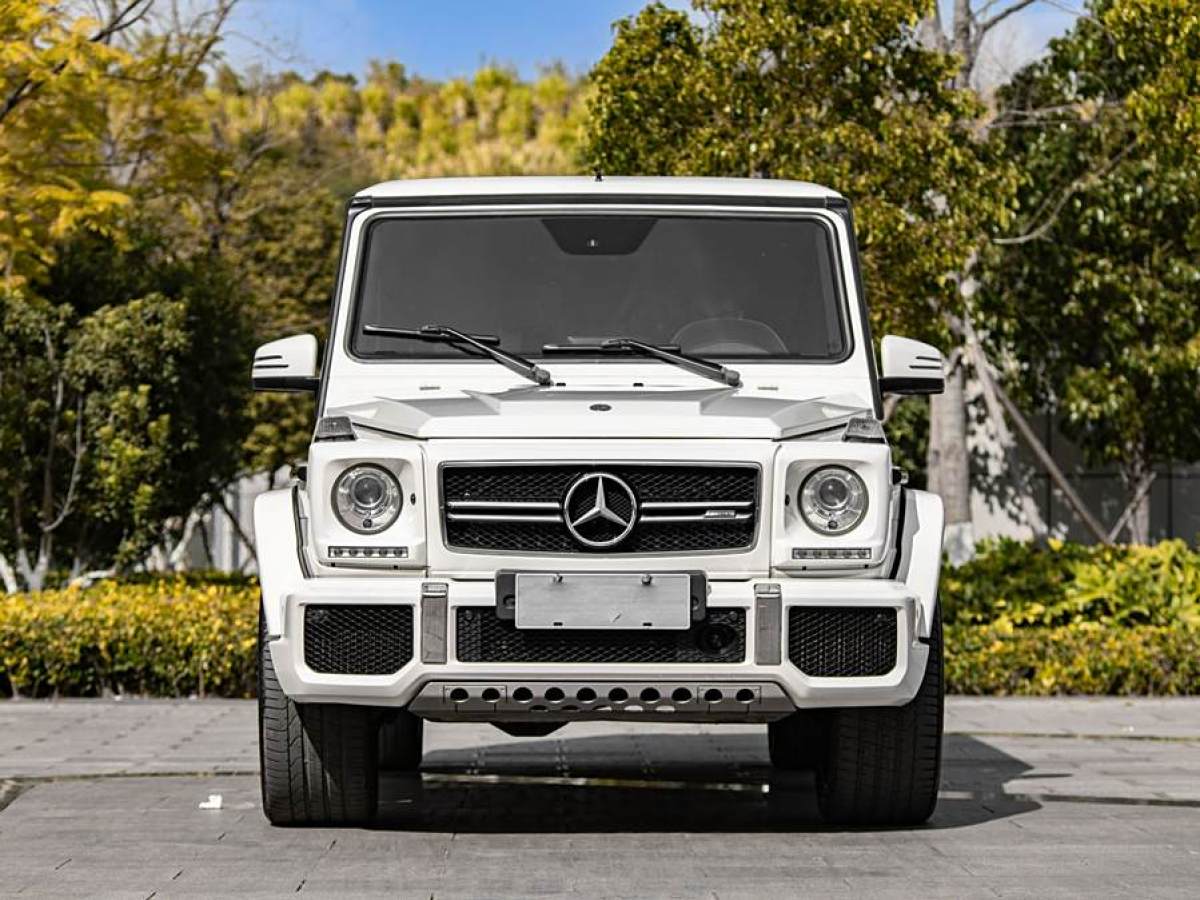 奔馳 奔馳G級AMG  2016款 AMG G 63 Edition 463圖片