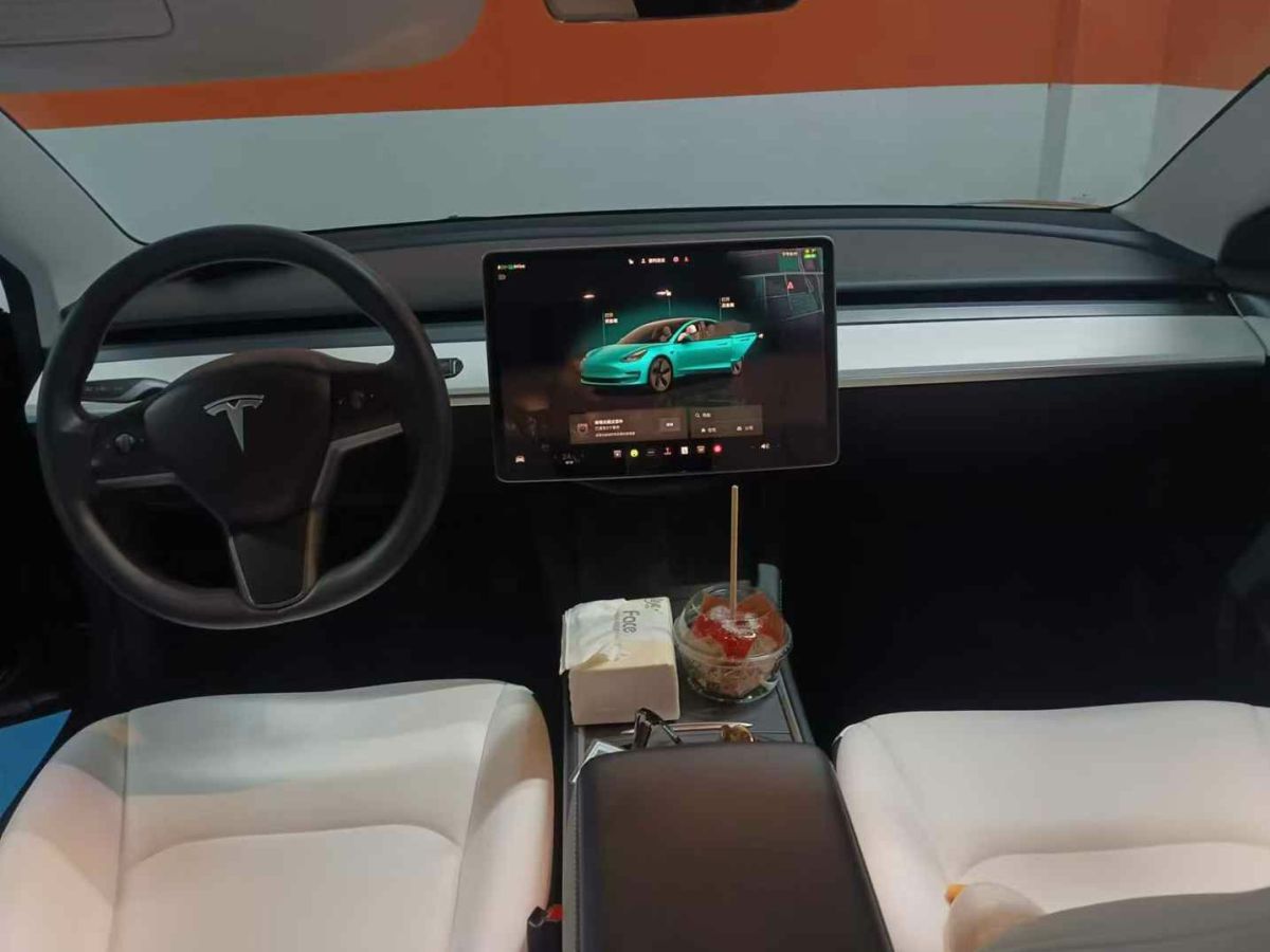 特斯拉 Model 3  2022款 Performance高性能全輪驅(qū)動(dòng)版圖片