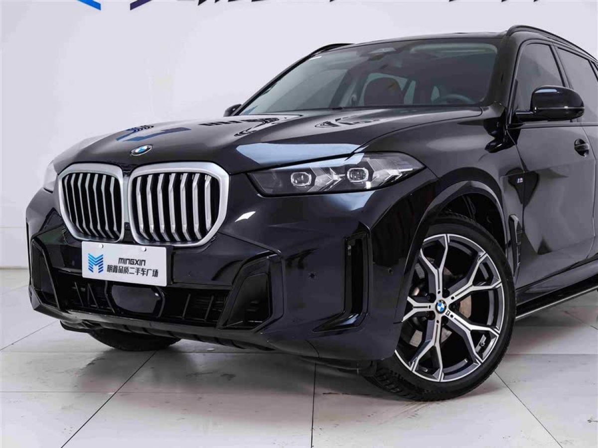 寶馬 寶馬X5  2023款 xDrive 30Li 尊享型M運(yùn)動(dòng)曜夜套裝圖片