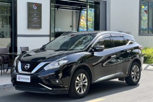 樓蘭 日產(chǎn) 2.5L XE 兩驅(qū)精英版