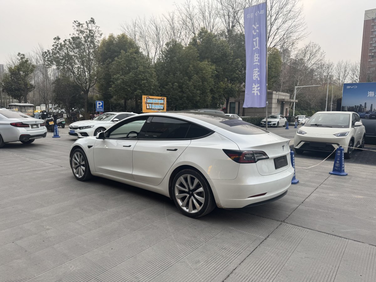 特斯拉 Model 3  2019款 標(biāo)準(zhǔn)續(xù)航后驅(qū)升級版圖片