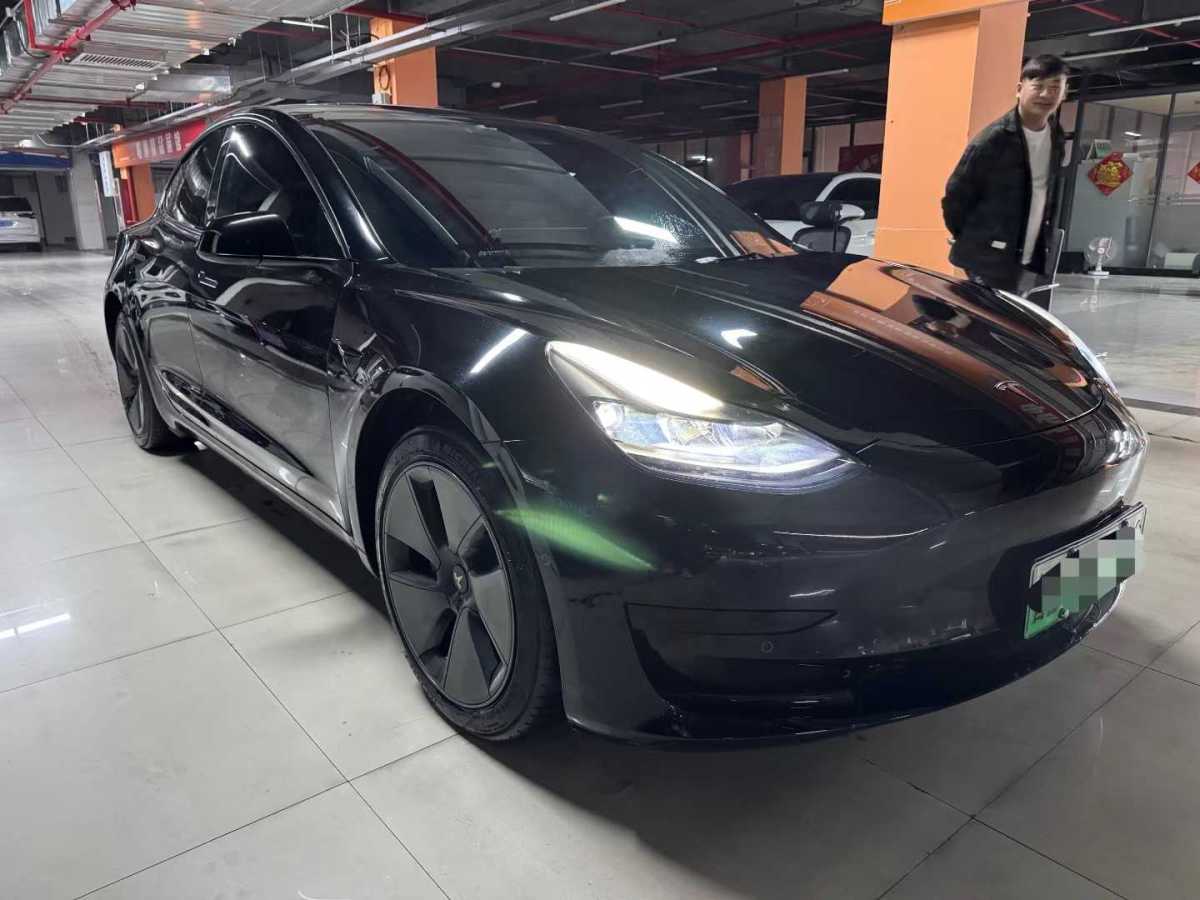 特斯拉 Model 3  2021款 標(biāo)準(zhǔn)續(xù)航后驅(qū)升級(jí)版 3D6圖片