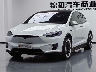 2020年5月 特斯拉 Model X 長(zhǎng)續(xù)航版圖片