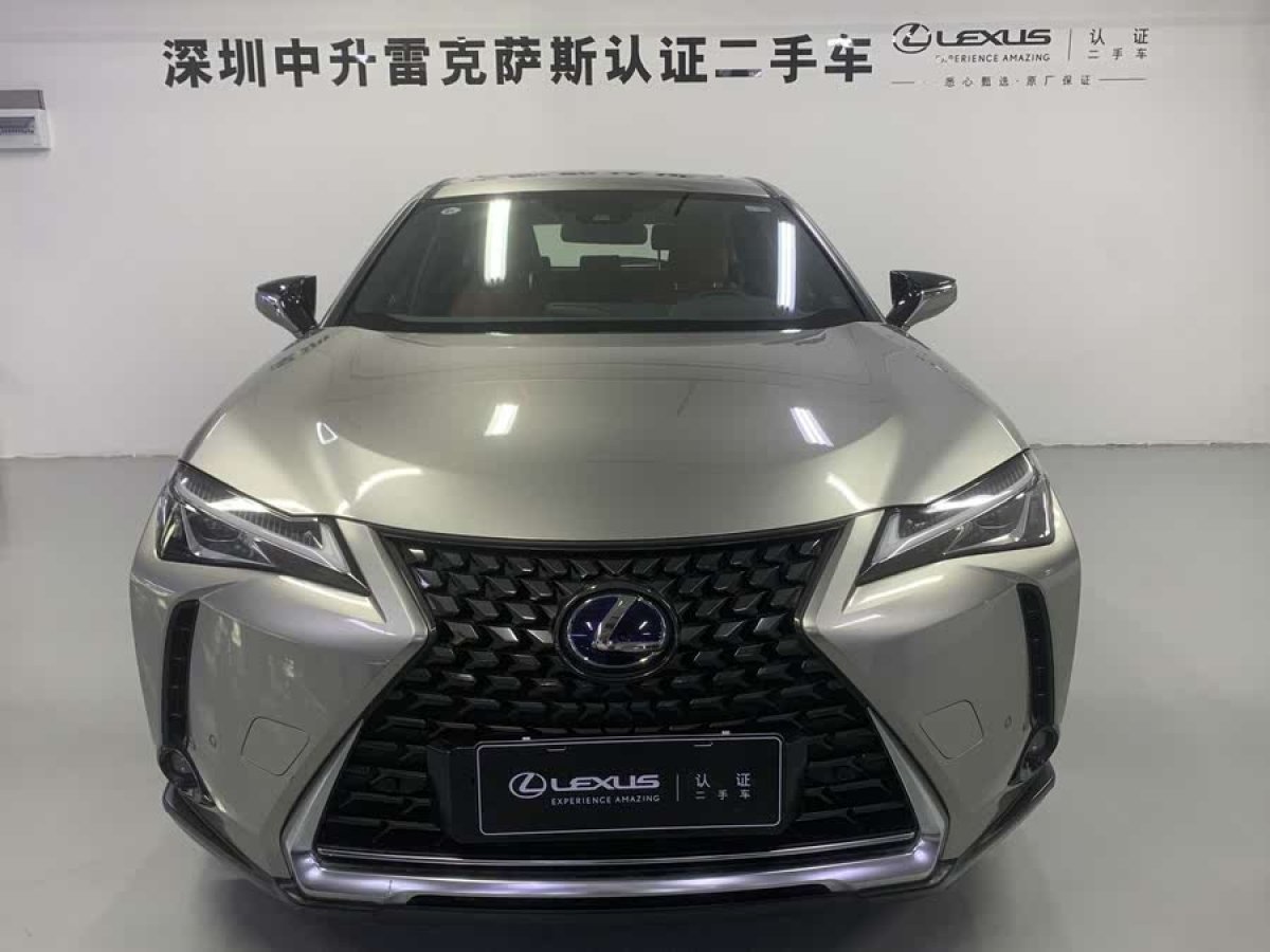 雷克薩斯 雷克薩斯UX新能源  2020款 300e 純?享版圖片