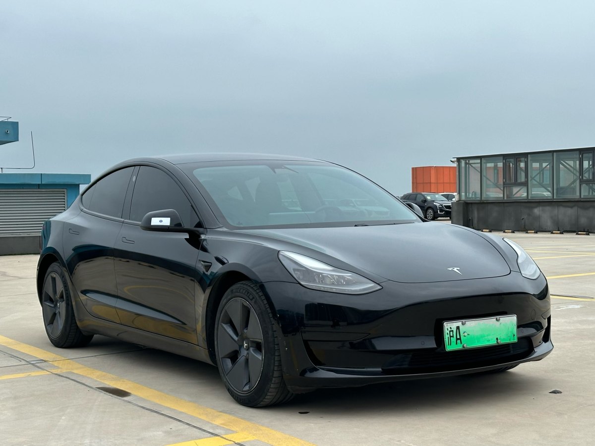 特斯拉 Model 3  2019款 標(biāo)準(zhǔn)續(xù)航后驅(qū)升級(jí)版圖片