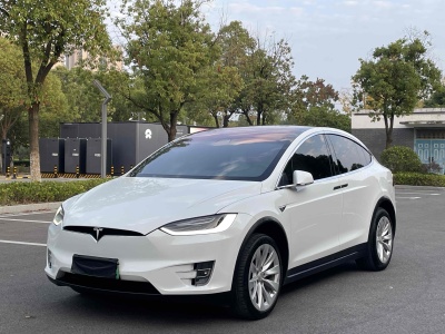 2018年7月 特斯拉 Model X Model X 100D 長(zhǎng)續(xù)航版圖片