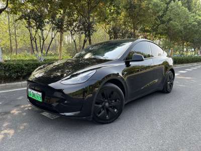 2022年6月 特斯拉 Model Y 改款 后輪驅(qū)動(dòng)版圖片