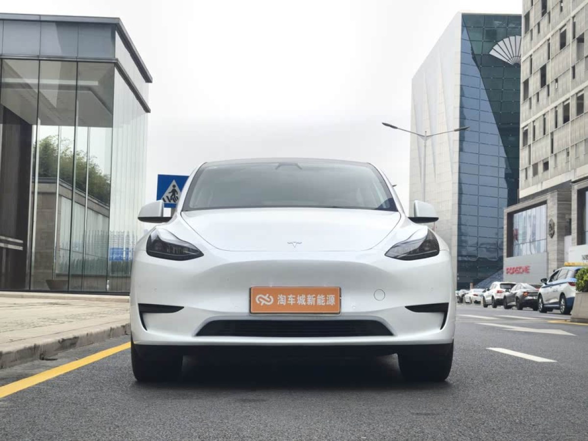 特斯拉 Model Y  2021款 標準續(xù)航后驅版圖片