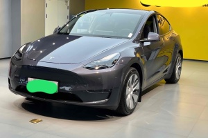 Model Y 特斯拉 改款 标准续航后驱升级版