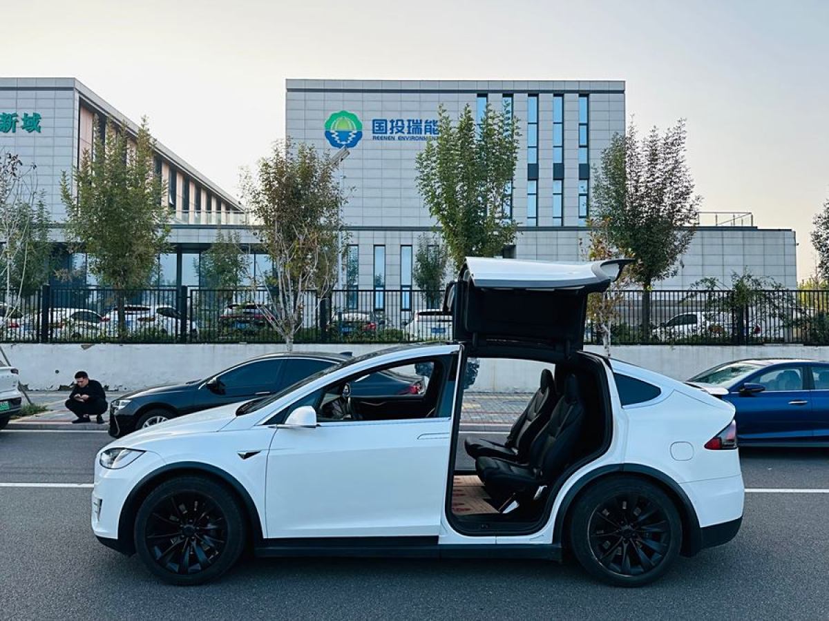 特斯拉 Model X  2019款 長(zhǎng)續(xù)航版圖片