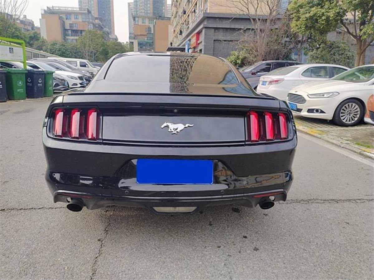 福特 Mustang  2015款 2.3T 性能版圖片