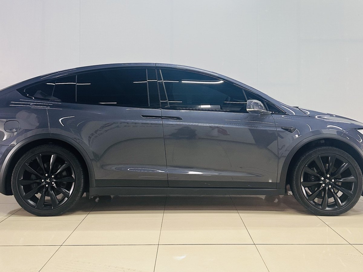 2021年1月特斯拉 Model X  2020款 長續(xù)航升級版