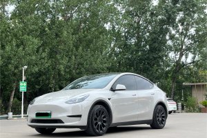Model Y 特斯拉 改款 后輪驅(qū)動(dòng)版