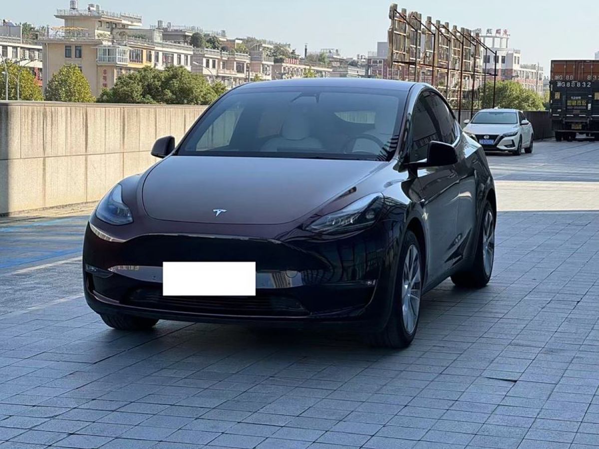 特斯拉 Model Y  2021款 改款 長(zhǎng)續(xù)航全輪驅(qū)動(dòng)版圖片