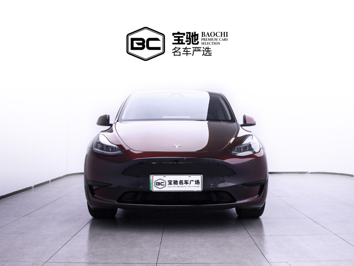 特斯拉 Model Y  2022款 后輪驅(qū)動(dòng)版圖片